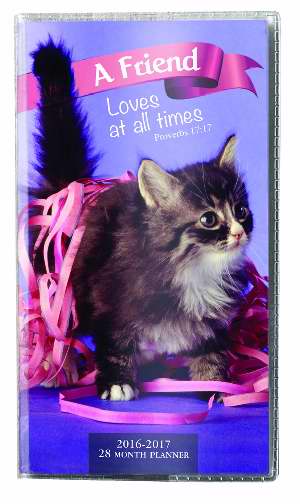 Planner-2016/2017 (28 Month) Kitten-A Friend Loves At All Times - Divinity